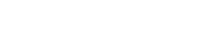 bitso logo